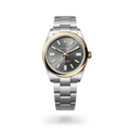 Rolex Oyster Perpetual Gray