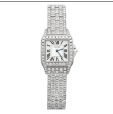 Cartier Santos Demoiselle