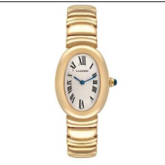 Cartier Iconic Watch