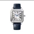 Cartier Blue Strap