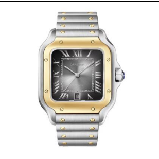 Cartier Santos Gray