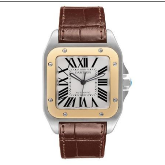 Cartier Santos Steel