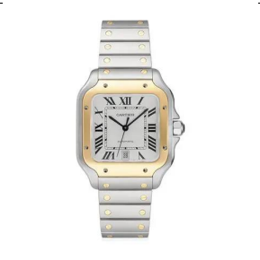 Cartier Santos Two Tone