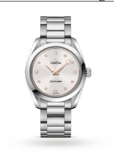 Omega Aqua Terra