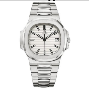 Patek Philippe Steel