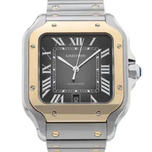 Cartier-SantosDeCartier-W2SA0030-64932-1-250917-103924170