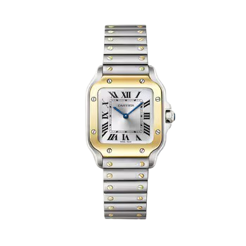 Cartier Santos Two Tone