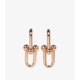 Tiffany Link Earrings