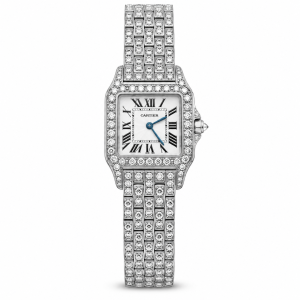 Cartier Santos Demoiselle