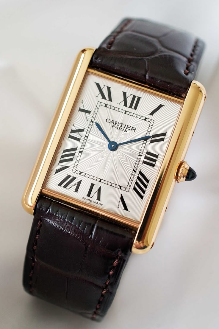 Cartier Tank Solo Dark Brown Strap - Image 3